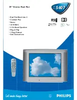 Philips 29PT5407 Specification Sheet предпросмотр