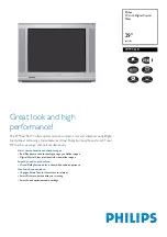 Philips 29PT5618 Technical Specifications preview