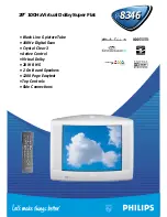 Philips 29PT8346 Specification Sheet preview