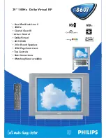 Preview for 1 page of Philips 29PT8607 Specifications