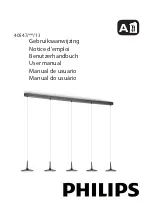 Preview for 1 page of Philips 405471713 User Manual