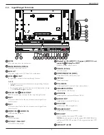 Предварительный просмотр 17 страницы Philips 55BDL1005X User Manual