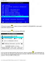 Preview for 102 page of Philips Brilliance 201B (Italian) User Manual