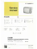 Philips CTV S26K497 Servlce Manual предпросмотр