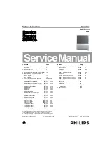 Philips DPTV565 AA Service Manual preview