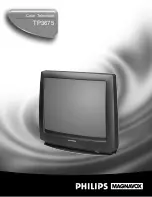 Philips MAGNAVOX TP3675C99 Manual preview