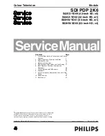 Preview for 1 page of Philips S42AX-YD02 Service Manual