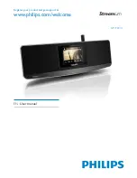 Philips Streamium NP3900 User Manual preview