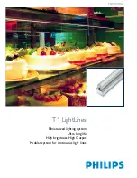 Preview for 1 page of Philips T1 LightLine 300 Specifications