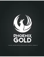 Предварительный просмотр 4 страницы Phoenix Gold Bass Cube 2.0 User Manual