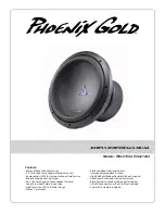 Phoenix Gold Elite212d2 Manual preview