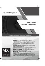 Phoenix Gold MX Series Manual предпросмотр