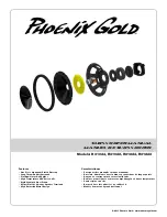 Phoenix Gold R312D2 Manual preview