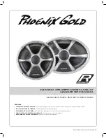 Phoenix Gold R5CX User Manual preview