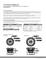 Предварительный просмотр 2 страницы Phoenix Gold RSdC102 Product Manual