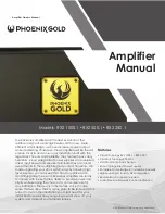 Phoenix Gold RX2 1000.1 Owner'S Manual preview