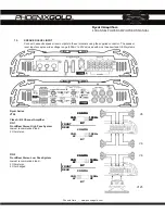 Preview for 3 page of Phoenix Gold Ryval V754 Product Manual