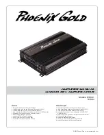 Phoenix Gold S1000.1 Manual preview