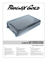 Phoenix Gold SD1100.5 User Manual предпросмотр