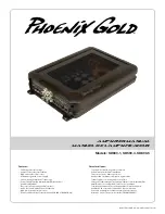 Preview for 1 page of Phoenix Gold SD300.1 Manual