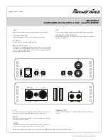 Preview for 3 page of Phoenix Gold SD300.1 Manual