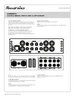 Preview for 10 page of Phoenix Gold SD300.1 Manual