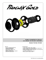 Phoenix Gold TI212D2 User Manual preview