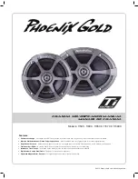 Phoenix Gold Ti69CX Manual предпросмотр