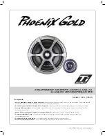 Preview for 5 page of Phoenix Gold TI6CS User Manual