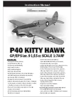 Phoenix Model P40 KITTY HAWK Instruction Manual предпросмотр