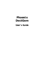 Phoenix DectGem User Manual preview