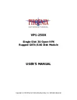 Предварительный просмотр 1 страницы Phoenix VP1-250X User Manual