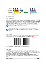 Preview for 81 page of Photon Focus MV1-D1280-L01-1280-G2-12 User Manual