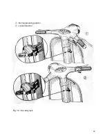 Предварительный просмотр 15 страницы PIAGGIO 1962 Vespa 150 Operation And Maintenance Manual