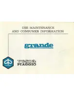 Preview for 2 page of PIAGGIO Vespa Grande Use & Maintenance Manual