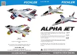 Pichler ALPHA JET C9655 Instruction Manual предпросмотр