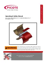 Preview for 1 page of PICOTE DN100 Operating & Safety Manual