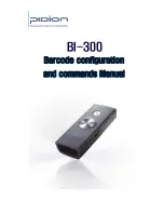 Pidion BI-300 Series Manual предпросмотр