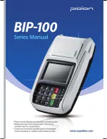 Pidion BIP-100 Series Manual предпросмотр