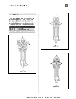 Preview for 6 page of PIETRO FIORENTINI APERFLUX 101 Technical Manual