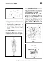 Preview for 11 page of PIETRO FIORENTINI APERFLUX 101 Technical Manual