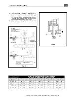 Preview for 15 page of PIETRO FIORENTINI APERFLUX 101 Technical Manual