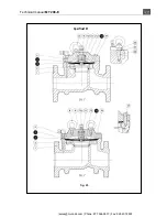 Preview for 28 page of PIETRO FIORENTINI APERFLUX 101 Technical Manual