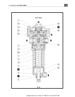 Preview for 29 page of PIETRO FIORENTINI APERFLUX 101 Technical Manual