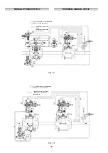 Preview for 22 page of PIETRO FIORENTINI APERVAL Technical Manual