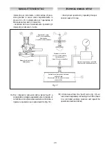 Preview for 29 page of PIETRO FIORENTINI APERVAL Technical Manual