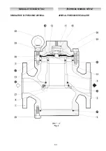 Preview for 63 page of PIETRO FIORENTINI APERVAL Technical Manual