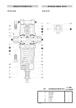 Preview for 79 page of PIETRO FIORENTINI APERVAL Technical Manual