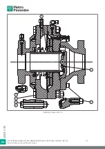 Preview for 110 page of PIETRO FIORENTINI ASX 176 Translation Of Original Instructions