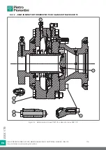 Preview for 116 page of PIETRO FIORENTINI ASX 176 Translation Of Original Instructions